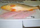 Pescada amarella inteira e file